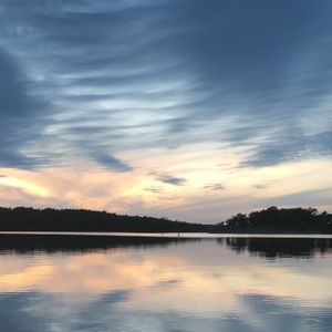 Meet your Posher, Laurenn